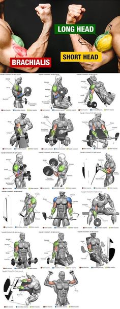 an image of the arm muscles and how they are used to perform them in different ways