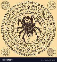 a spider surrounded by various symbols in a circle