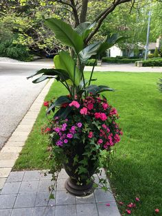 a potted plant with pink flowers in it on the side of a sidewalk next to a tree