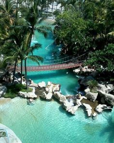 an aerial view of a bridge over a river surrounded by palm trees and water slides