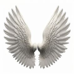 Photo ailes d'ange blanches sur fond bla... | Premium Photo #Freepik #photo #angel-wings #ailes #ailes-ange #ailes-logo Angel Wings Art, Wings Art, Art Plastique, Premium Photo, Angel Wings, Tattoos For Guys, Mood Board, Communication, Angel