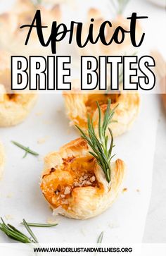 appetizer brie bites with rosemary sprig on top and text overlay