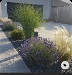 some purple and yellow plants in front of a white building with a garage behind it