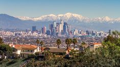 a view of the city skyline with mountains in the backgrounnd and palm trees