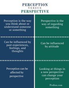 the differences between perception and persective in an article or book