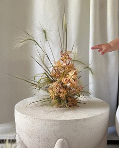 there is a plant growing out of the top of a white vase on this table