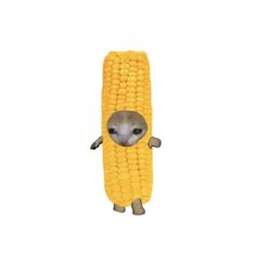 an animal in a corn cob with its face peeking out from it's hole