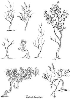 four different types of trees with flowers and leaves on the top one is black and white