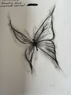 a pencil drawing of a butterfly on white paper