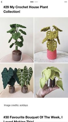 crochet house plant instructions for beginners to learn how to crochet