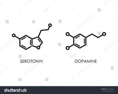 the two types of seretotin and dopamine are shown in this illustration