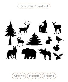 the silhouettes of different animals and trees