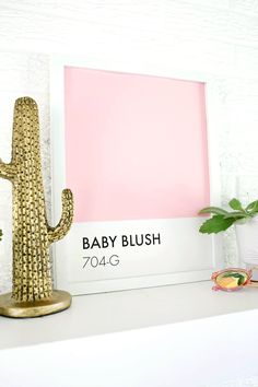 a baby pink paint color in a white frame next to a cacti and succulent