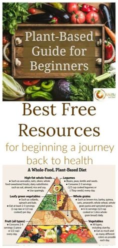 the plant based guide for beginners best free resources for beginning a journey back to health