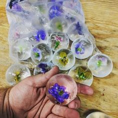 a person holding a glass ball with flowers in it on top of a wooden table