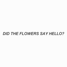 the words did the flowers say hello written in black on a white background