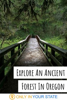 a wooden bridge with the words explore an ancient forest in oregon only in your state