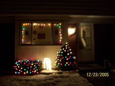 two christmas trees are lit up in front of a house