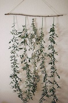 some green plants hanging from a wall