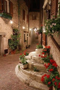 an image of a street with flowers growing on the steps and lights in the windows