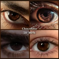 Chocolate Eyes Color, Golden Eye Color, Brown Iris Eye, Pretty Eye Colors, Chocolate Brown Eyes, Pretty Eyes Color, Rare Eye Colors, Eyes Don't Lie, Eye Color Chart