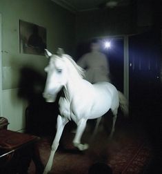 a blurry photo of a person riding a white horse in a room with a red rug