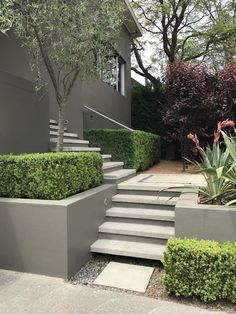 the steps are lined with planters and bushes