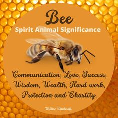 a bee sitting on top of a honeycomb with the words, spirit animal significance