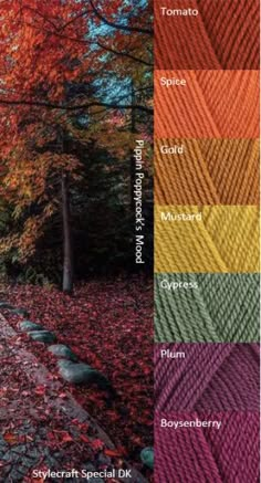 the colors of yarn are shown in this color guide for knitting and crocheting