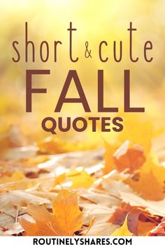 the words short and cute fall quotes are in front of leaves that have fallen on them