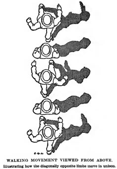 an old black and white drawing of three men with glasses on their heads, standing in a row