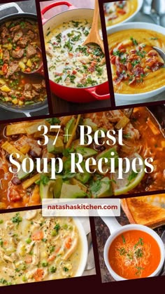 the best soup recipes for any type of meal