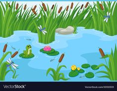 the frog is swimming in the pond with his friends