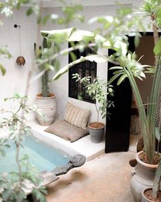 an outdoor patio with potted plants and a hot tub