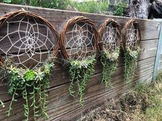 several wicker dream catchers are hanging on a fence with succulents