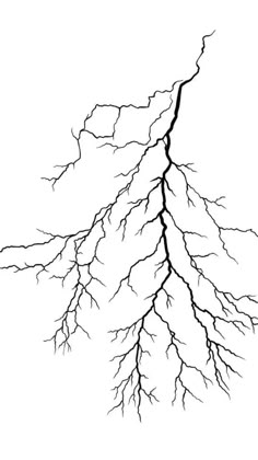 a black and white drawing of a tree branch with no leaves on it's branches