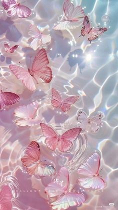 many pink butterflies floating in the water