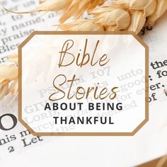 an open book with the words bible stories about being grateful on it and wheat stalks