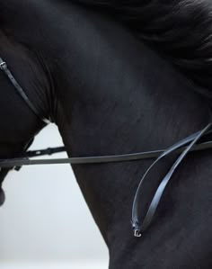 two pictures of a black horse with the bridle pulled back to its side