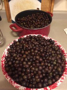 two pans filled with fruit sitting on top of a counter next to each other