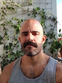 Septum Mustache, Septum Piercing Jewelry Moustache, Beards Tattoos And Muscles, Bald With Mustache, Bald Bearded Tattooed Men, Bald Head With Beard, Shaved Head With Beard, Moustache Style