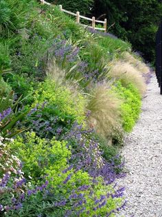 a garden with lots of flowers and plants growing on the side of it, next to a wooden fence