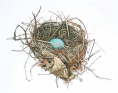 a bird's nest with a blue egg in it and the words prints available - click here