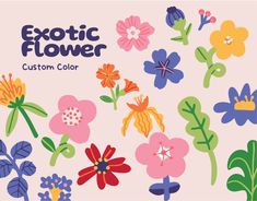 an exotic flower background with colorful flowers