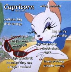 an image of a cartoon cat with caption about it's purpose in the poem capricorn