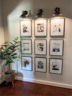 a room with pictures on the wall and a potted plant