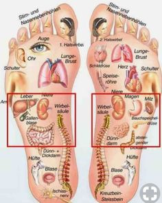 Steps Skincare, Reflexology Chart, Reflexology Massage, Foot Reflexology, Trening Fitness, Care Aesthetic