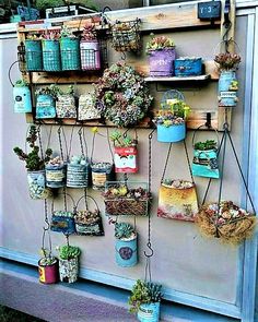 there are many potted plants hanging on the wall