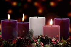 three lit candles surrounded by holly and pine cones