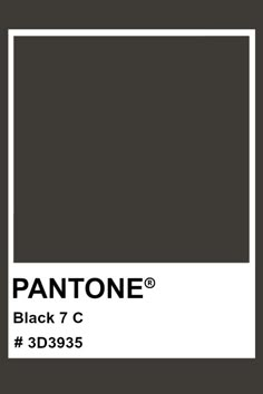 pantone's black and white color scheme